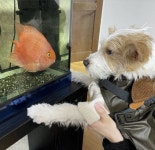 𝘽𝙖𝙗𝙮 𝙈𝙤𝙘𝙝𝙞☁ adlı kullanıcının <행크> HANK panosundaki Pin | Hayvan mizahı, Hayvan, Hayvanlar