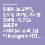 골프에 있는 핀