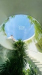 Instastory에 있는 Bin Tran님의 핀 - 2024