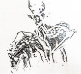 t117 A texture 비엔리 12