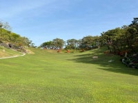 확 트인 월명동 잔디밭