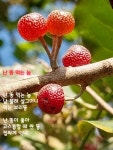 Pin page Pin by 동인 on 사오정 in 2024