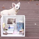 동물들에게 먹히는 스타일이었던 것이었다. #호기심천국3 #지나가던멍멍이 #dollhouse #miniature #내방마련프로젝트 #정규강좌 #봄을찾다