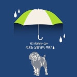 우리 댕댕이 집에만 있을 순 없지!! 댕댕이랑 나란히 우산쓰고 비오는... 강아지우산#댕댕이우산#비#산책필수템#댕스타그램#댕댕이#냥이... 