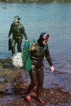 Jeju sea woman 해녀 | 바다 파도, 영감받은 스타일, 사람