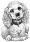 Pin by Studio jb on 소묘 중급 | Pencil drawings of animals, Cute drawings, Cute animal drawings