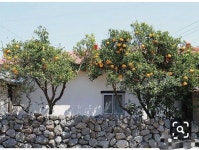 자연 그림에 있는 양신애님의 핀 | 돌담 정원, 여행, 자연 사진