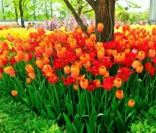 South Korea | 수채화