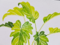 Pin by kjk on 사부작사부작 | Plant leaves, Plants, Watercolor