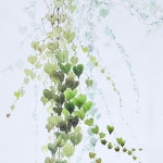 나그네 되어 스며들어 적시고 떠나가는 것  - 한가로운 - #러브체인#flower#painter#painting#문인화#한국화#동양화#수묵화#사군자#b… in 2024