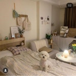 마무리합니다:) 💗 ⠀ 가장인기있는 조합인 러블리체크와 크림블루조합:) ! 너무너무 귀여운 멍멍이🐶 제가꿈꾸는 공간인거같아…
