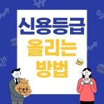 신용등급 올리는 방법 | 금융