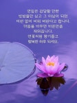 연꽃처럼 향기롭고 행복한 하루 되세요.
