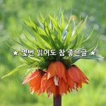 나는 3000번을 ★ #좋은글 좋은글귀 어플 구글 플레이 스토어에서 다운로드 받으세요 ★ 몇번 읽어도 참 좋은글 ★  죽을 만큼 사랑했던 사람과... 