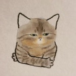 별냥이제작소 그림 on Instagram: “. 내가 잘 하고 있나 잘 가고... 마찬가질거야 #별냥이제작소 #고양이일러스트 #고양이그램... 
