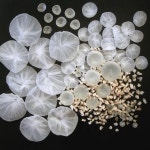 조형에 있는 윤서님의 핀