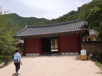 수타사 정문, 봉황문. 2021년 5월 26일 - 2021 | 정문, 한국