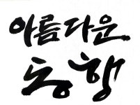 아름다운동행