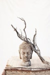 ※ZEN※에 관한 62개의 최상의 Pinterest 이미지 | 정신적, 불교 및 마음 챙김 ※ZEN※
