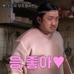 마동석 짤 웃긴 짤 마요미 마블리