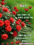 일요일 아침 인사 이미지 | 좋은 아침 인사, 손글씨 문구, 아름다운 풍경