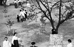 사진작가 한영수(韓榮洙)의 작품을 통해 본 그 때 그 시절 | 흑백 사진, 역사, 사진 ﻿사진작가 한영수(韓榮洙)의 작품을 통해 본 그 때 그 시절... 
