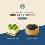 톡톡 터지는 상큼한 샤인 머스캣에 달달한 청포도 잼이 들어 있는#상큼한샤인머스캣스... - 2021 | 식품 아이디어, 케이크, 부드러운