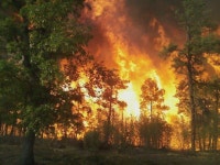 Thats a bonfire! | 환경