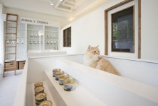 E.EUM – ANIMAL MEDICAL CLINIC 이음 동물병원 - SPACE LITA | Pet hotel, Animal hospital, Clinic