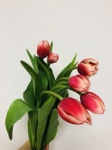 튤립 Pin by Jane on Flower | Plants, Flowers, Garden