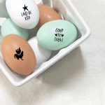 chichens에 관한 75개의 최상의 Pinterest 이미지 | 닭장, 농업 및 Cool ideas chichens