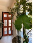 고민은 고민을 물고 끝까지 따라오지✂️ ⠀⠀⠀  플로리스트  florist  꽃  flower  bloom  blossom  꽃집  알로카시아  Alocasia... 