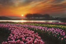 장평소류지 - Google 검색 | 검색