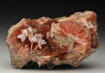 Antique 빈티지에 있는 임춘근 springroot55님의 핀 | 빈티지