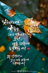 Pin page #캘리그라피 #캘리 #손글씨 #calligraphy #청춘 #배경-pinterrest #김광석 #흐린 가을하늘에 편지를 써 #물댄동산 #노래 #꿈... 