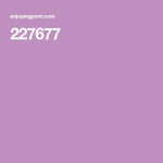 227677 | 수영복