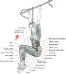 Ejercicio에 관한 23개의 최상의 Pinterest 이미지 Ejercicio