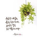 유순한 대답은