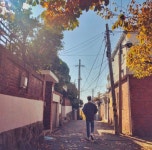 Pin page #parkbogum #박보검 #朴寶劍 #パクボゴム #พัคโบกอม | Scenes, Bo gum, Park