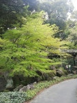 {title}(이미지 포함)