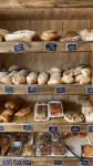 Pane & Focaccia | Cafe food, Food cravings, Food