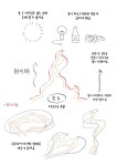 1분강좌 [불] 편