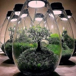 Pin by Raymond Heaney on 테라리움 in 2020 | Serik, Home decor