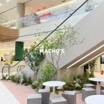 machos.sachunki 플랜테리어 planterior