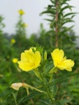 김포에 있는 Kihong Choi님의 핀