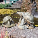 Turtoises | 거북이, 배경