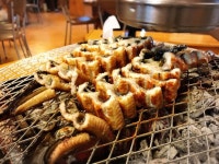 81380명이 방문하고 싶어하는 분당 맛집 숲속장어촌의 평점은 4.2/5점 입니다. 숲속장어촌을(를) 대표하는 키워드는 장어입니다. | 음식... 
