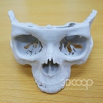 #한국3D프린팅협동조합 #3d프린팅#3dcoop  #3dsystems #projet660 #skull #3dprinting by 3dcoop | Lion sculpture, Instagram posts...