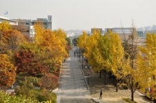 Fall at Kookmin University, the International Hall 국민대 국제교육관 앞
