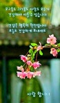 윤정에 있는 yoonjung choi님의 핀 | 좋은 아침 인사, 좋은 아침 이미지, 감사 이미지